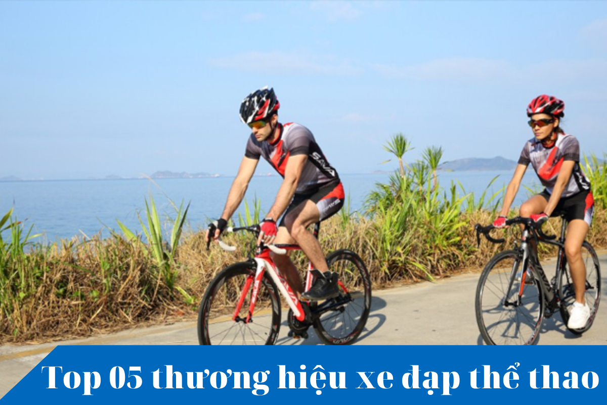 top 05 thuong hieu xe dap the thao hien nay