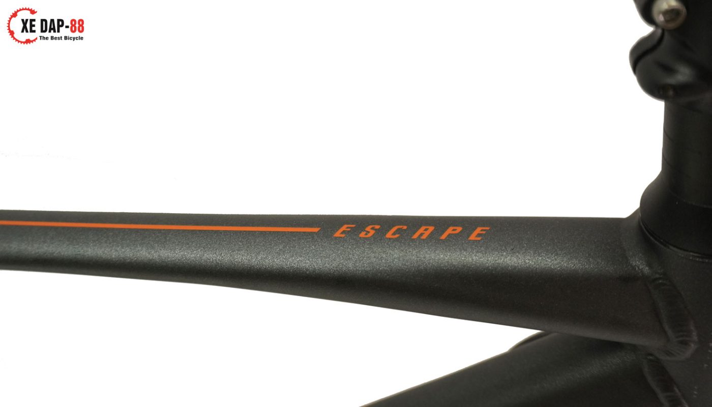 GIANT-ESCAPE-2-2022-6