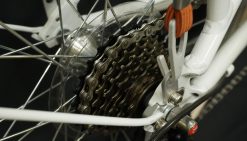 GIANT-INEED-LATTE-24-11