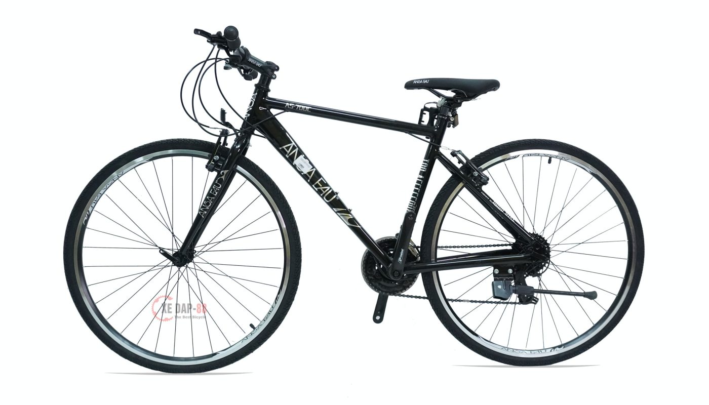 XE-DAP-ANSA-AEU-700-1