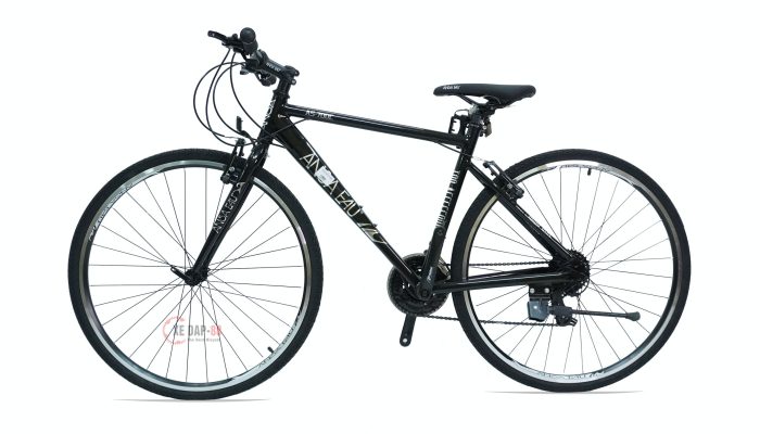 XE-DAP-ANSA-AEU-700-1