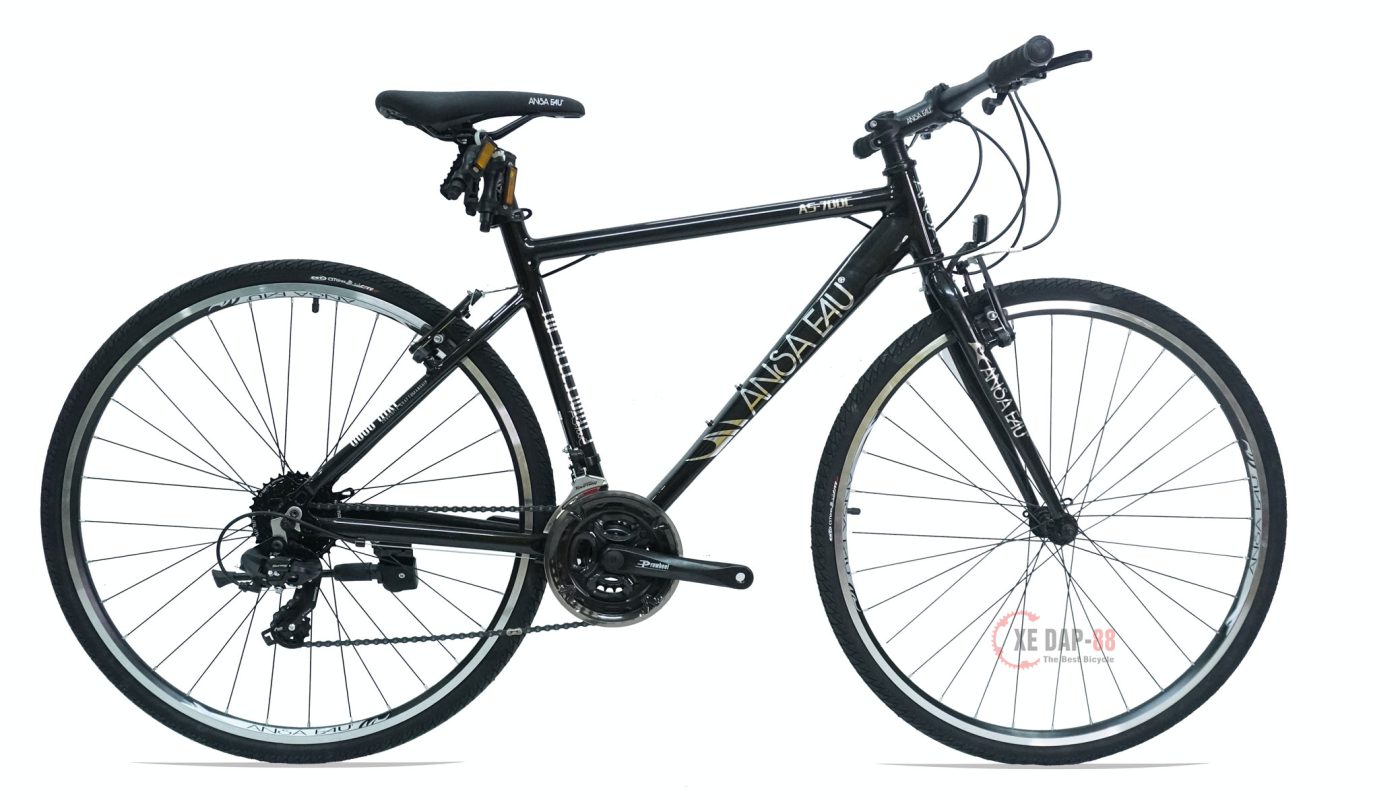 XE-DAP-ANSA-AEU-700-2