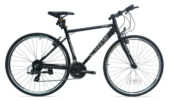 XE-DAP-ANSA-AEU-700-2