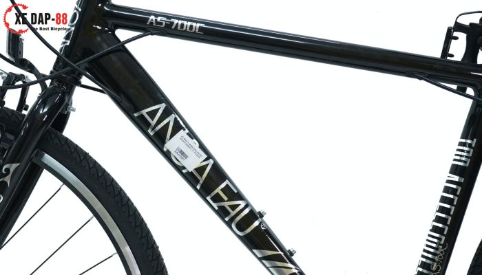 XE-DAP-ANSA-AEU-700-3