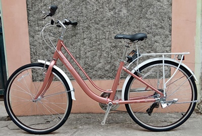 XE DAP GIANT INEED 1500 2022 0