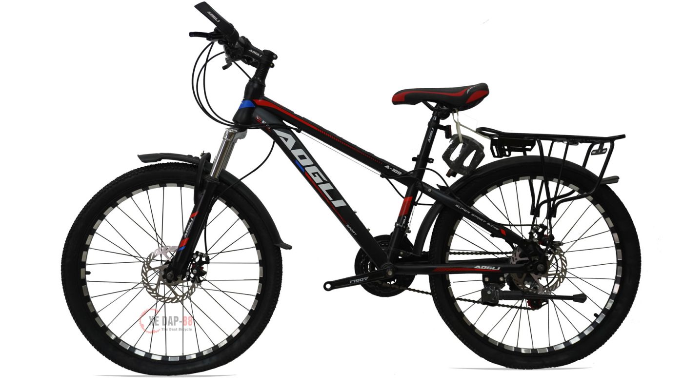 XE-DAP-THE-THAO-AOGLI--A109-1