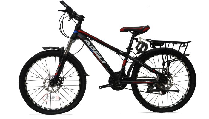 XE-DAP-THE-THAO-AOGLI--A109-1