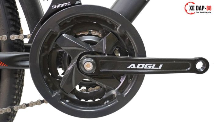 XE-DAP-THE-THAO-AOGLI--A109-12
