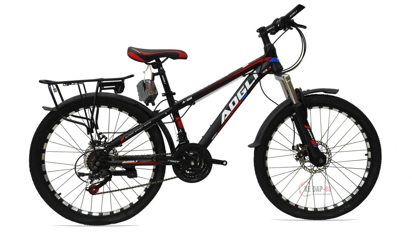 XE-DAP-THE-THAO-AOGLI--A109-2