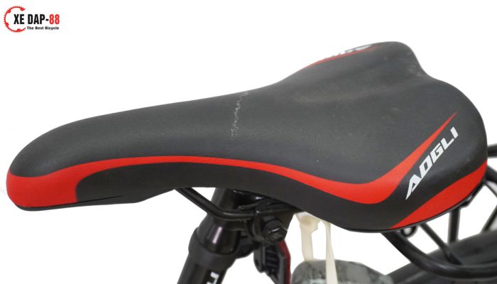 XE-DAP-THE-THAO-AOGLI--A109-9