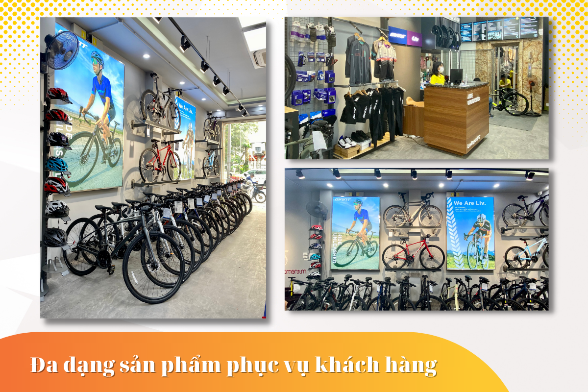 xe dap 88 hinh anh cong ty