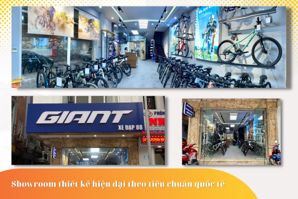 xe dap 88 hinh anh cong ty