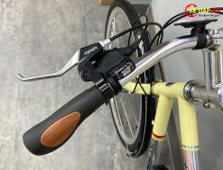 XE DAP ALCOTT ATX 03 7