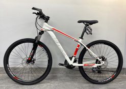 XE DAP CALIFORNIA 100CC 1