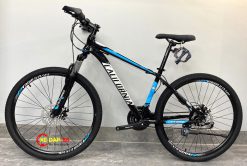 XE DAP CALIFORNIA 100CC 2