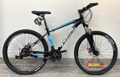 XE DAP CALIFORNIA 100CC 3