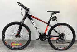 XE DAP CALIFORNIA 100CC 4