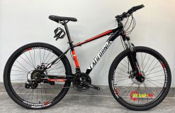 XE DAP CALIFORNIA 100CC 5