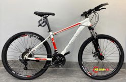 XE DAP CALIFORNIA 100CC 7