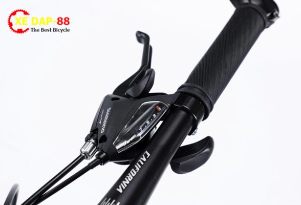 XE DAP CALIFORNIA 100CC 8