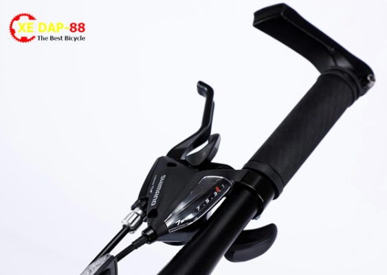 XE DAP CALIFORNIA 100CC 9