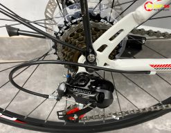 XE DAP FORNIX FR307 11