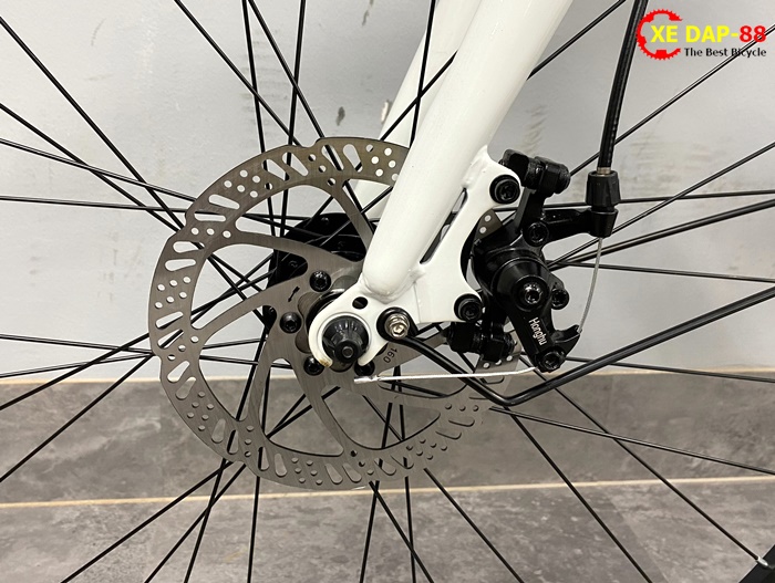 XE DAP FORNIX FR307 7