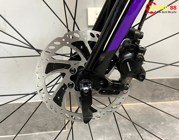 XE DAP GIANT LIV AIMEZ COMAX 2019 10