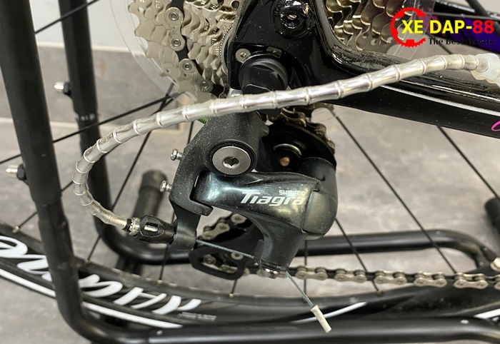XE DAP GIANT LIV AIMEZ COMAX 2019 13