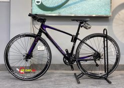 XE DAP GIANT LIV AIMEZ COMAX 2019 2