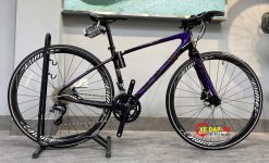 XE DAP GIANT LIV AIMEZ COMAX 2019 3