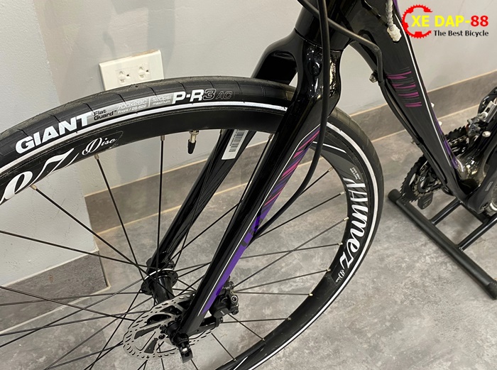 XE DAP GIANT LIV AIMEZ COMAX 2019 6