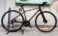 XE DAP GIANT LIV AIMEZ SL2 2021 1