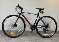 XE DAP PLENTY RL100 2