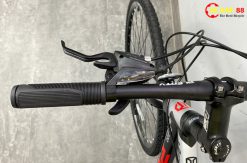 XE DAP PLENTY RL100 8