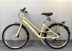 XE DAP THE THAO VICKY NU 1