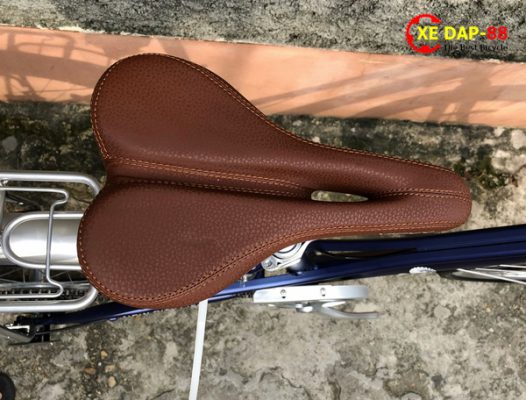 XE DAP THE THAO VICKY NU 12