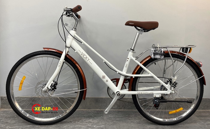 XE DAP THE THAO VICKY NU 4