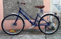 XE DAP THE THAO VICKY NU 6