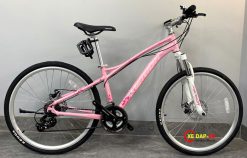 XE DAP THE THAO VICTORY 500 2