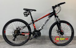 xe dap california 100cc v24 2022 2