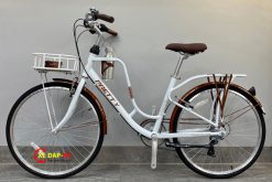 xe dap vinabike pretty latte size 26 2021 1 trang